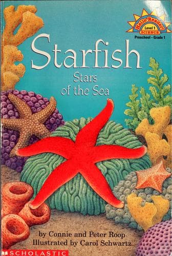 Tapa de Starfish