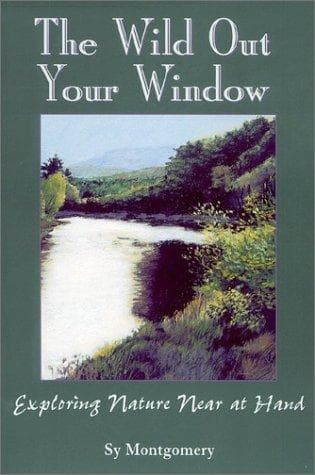 Tapa de The Wild Out Your Window