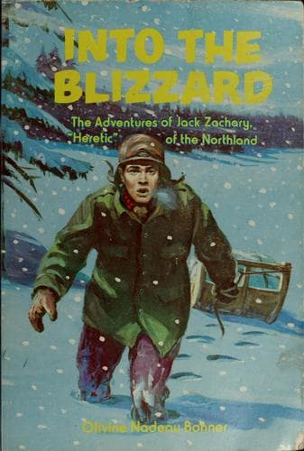 Tapa de Into the blizzard