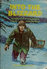 Tapa de Into the blizzard