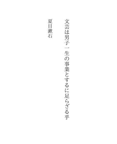 Tapa de 文芸は男子一生の事業とするに足らざる乎