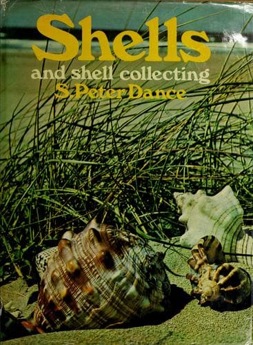 Tapa de Shells and shell collecting
