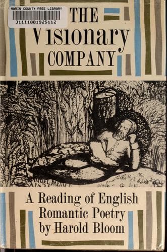 Tapa de The visionary company