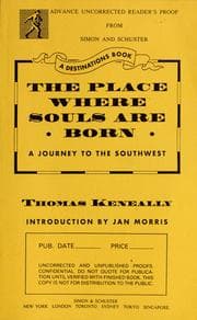 Tapa de The place where souls are born