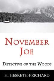 Tapa de November Joe, detective of the woods
