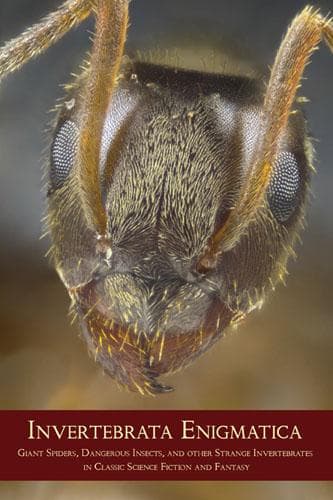 Tapa de Invertebrata Enigmatica