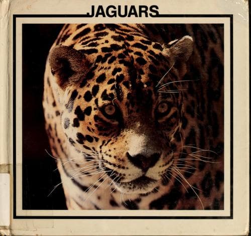 Tapa de Jaguars