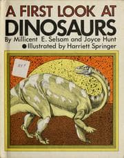 Tapa de 1st Look at Dinosaurs