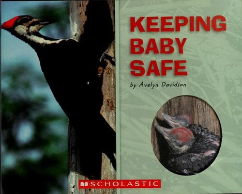 Tapa de Keeping baby safe