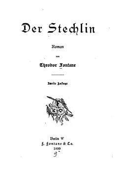Tapa de Der Stechlin.