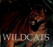 Tapa de Wildcats