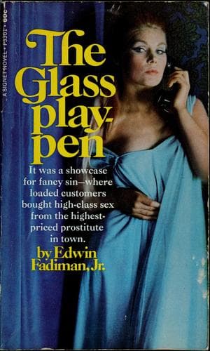 Tapa de The glass playpen
