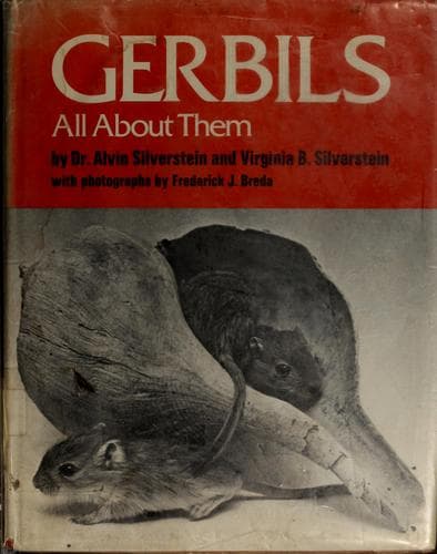 Tapa de Gerbils, all about them