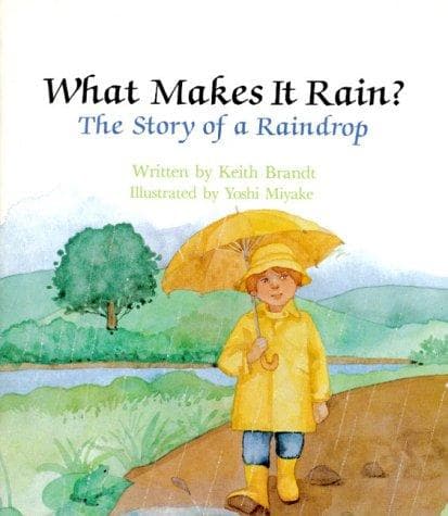 Tapa de What Makes It Rain?