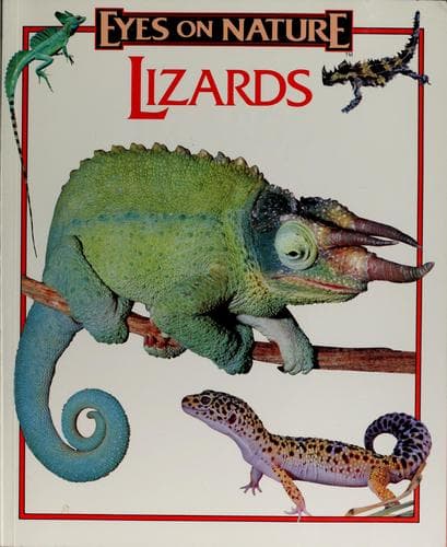 Tapa de Lizards