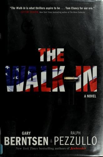 Tapa de The walk-in
