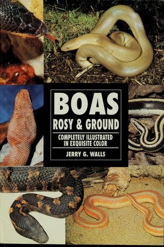 Tapa de Boas, rosy and ground