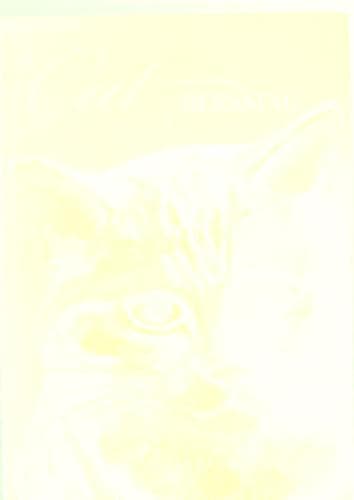 Tapa de A cat blessing