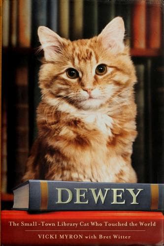 Tapa de Dewey
