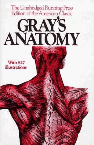 Tapa de Anatomy