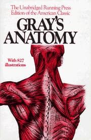 Tapa de Anatomy