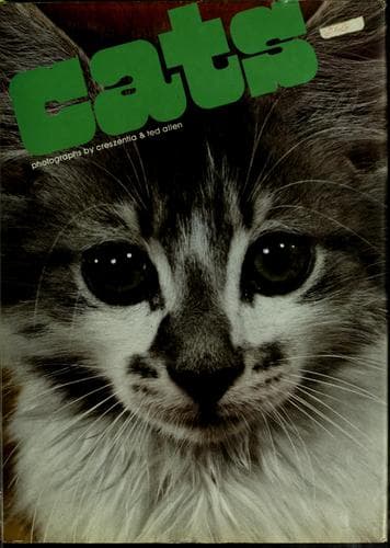 Tapa de Cats