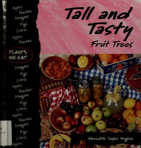 Tapa de Tall and tasty