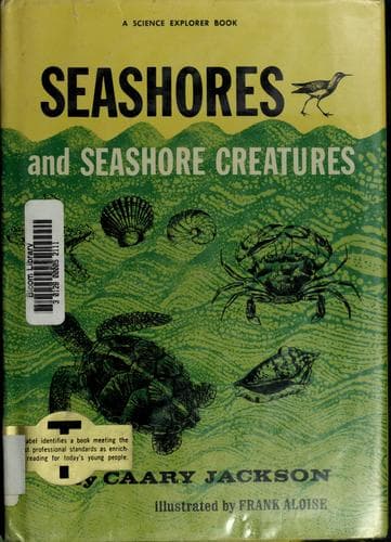 Tapa de Seashores and seashore creatures