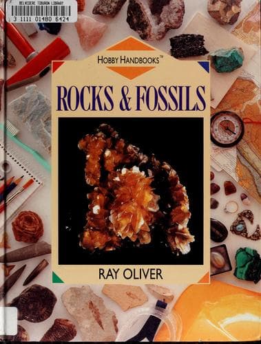 Tapa de Rocks & fossils