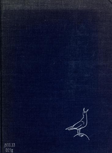 Tapa de The gull's way