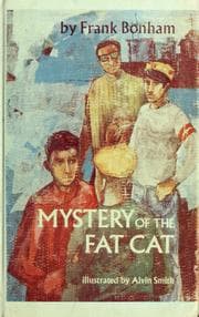 Tapa de Mystery of the fat cat
