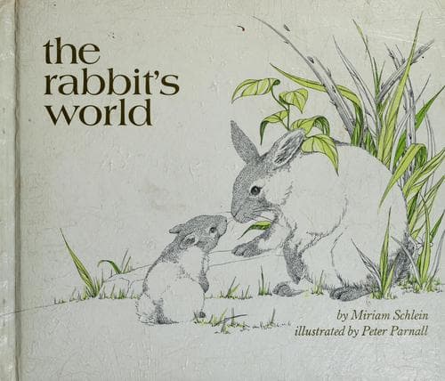 Tapa de The rabbit's world