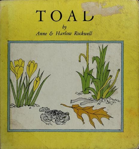 Tapa de Toad