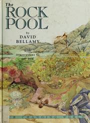 Tapa de The rock pool