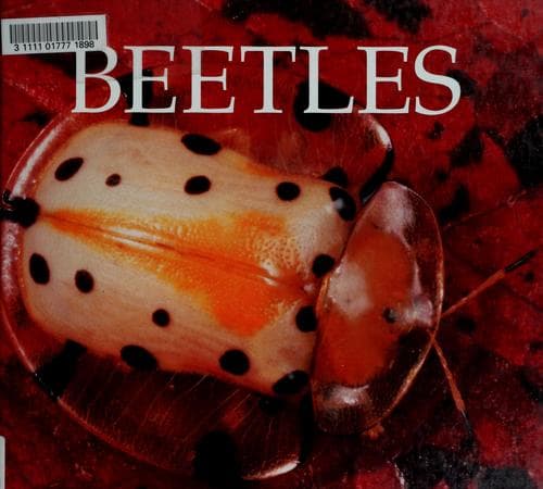 Tapa de Beetles