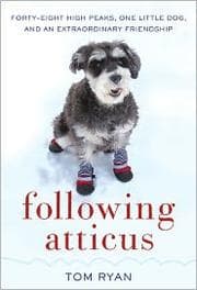 Tapa de Following Atticus