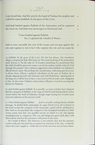 Tapa de The David story