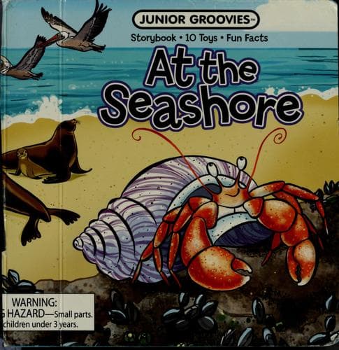 Tapa de At the Seashore