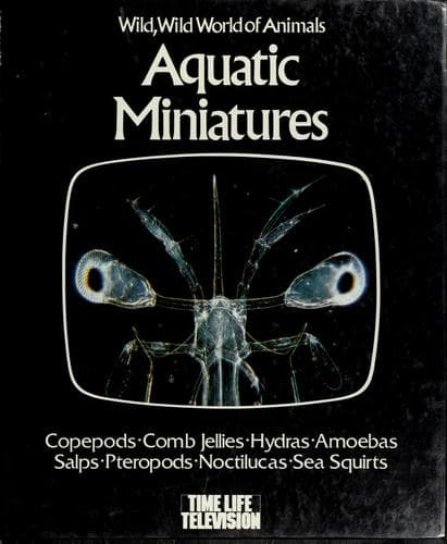 Tapa de Aquatic miniatures