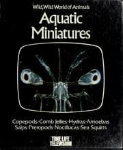 Tapa de Aquatic miniatures
