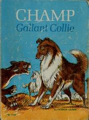Tapa de Champ, gallant collie