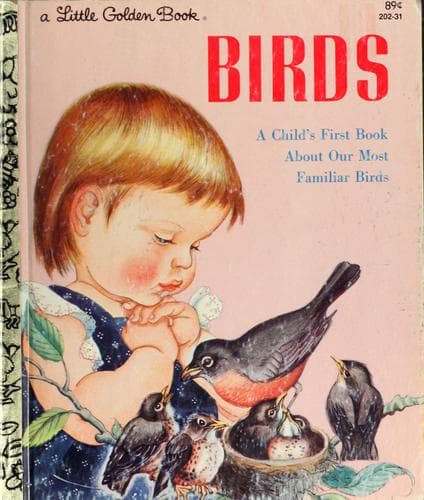 Tapa de Birds