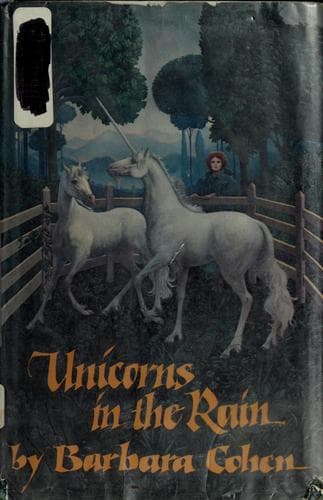 Tapa de Unicorns in the rain