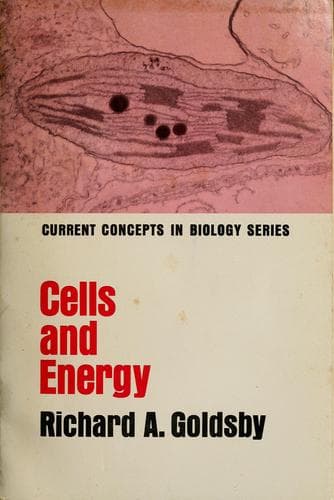 Tapa de Cells and energy