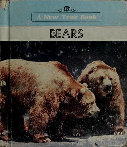 Tapa de Bears