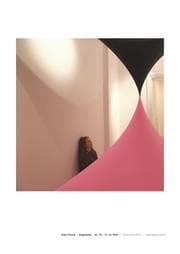 Tapa de Singularity ZK