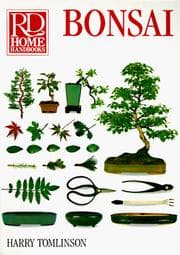 Tapa de Bonsai