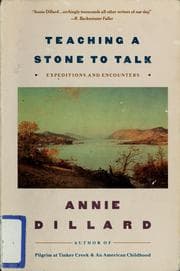 Tapa de Teaching a stone to talk