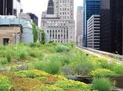 Tapa de Master plan of residential land use of Chicago