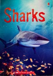 Tapa de Sharks
